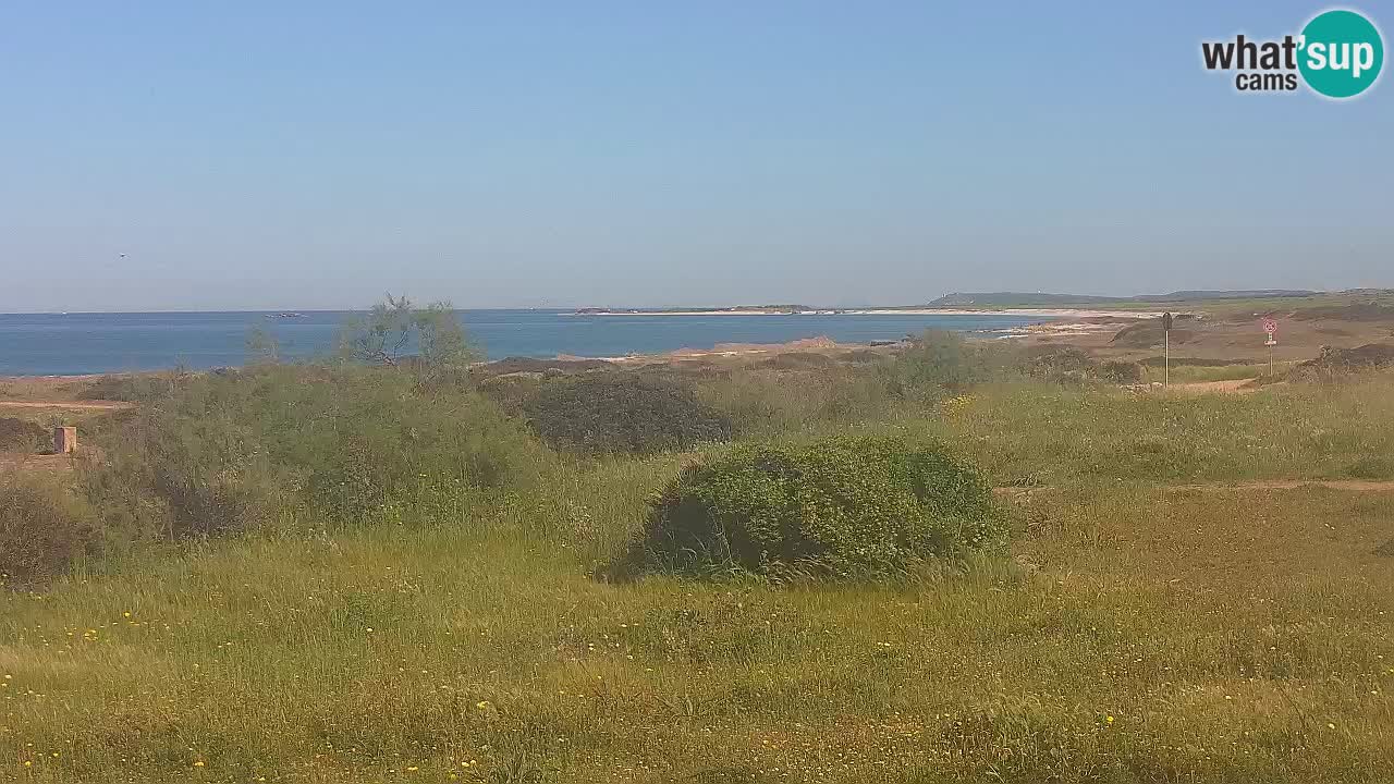 Playa Mari Ermi | Is Arutas – Oristano