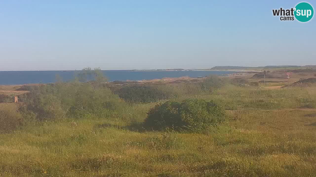 Mari Ermi Strand | Is Arutas – Oristano