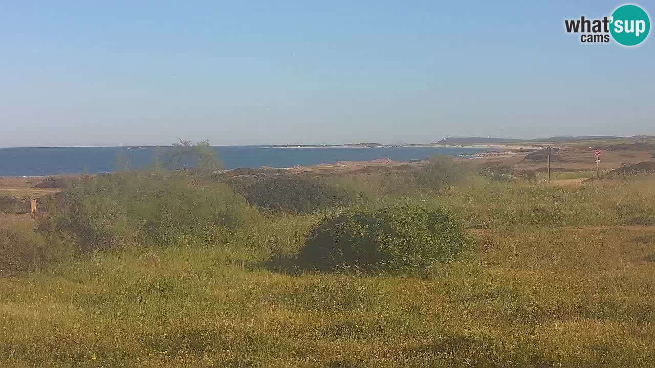 Mari Ermi Strand | Is Arutas – Oristano