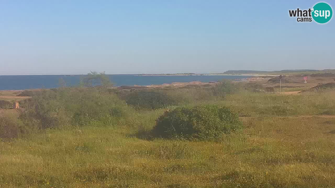 Mari Ermi Strand | Is Arutas – Oristano