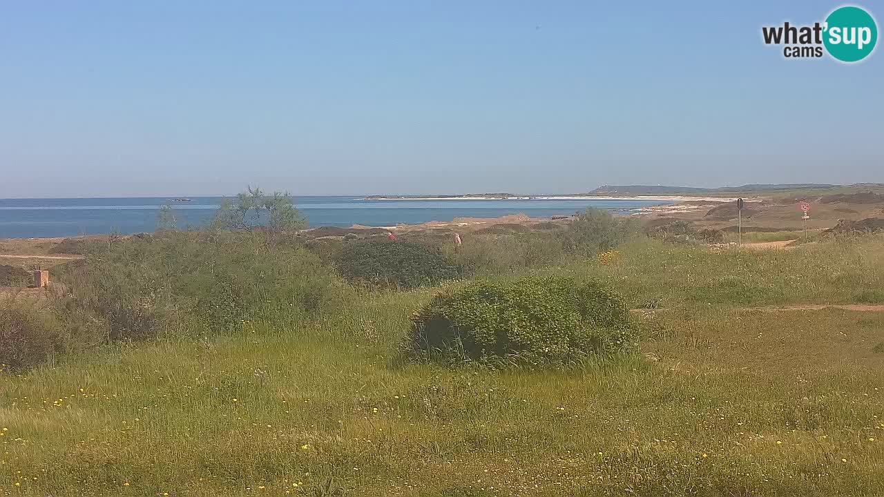 Mari Ermi beach | Is Arutas – Oristano