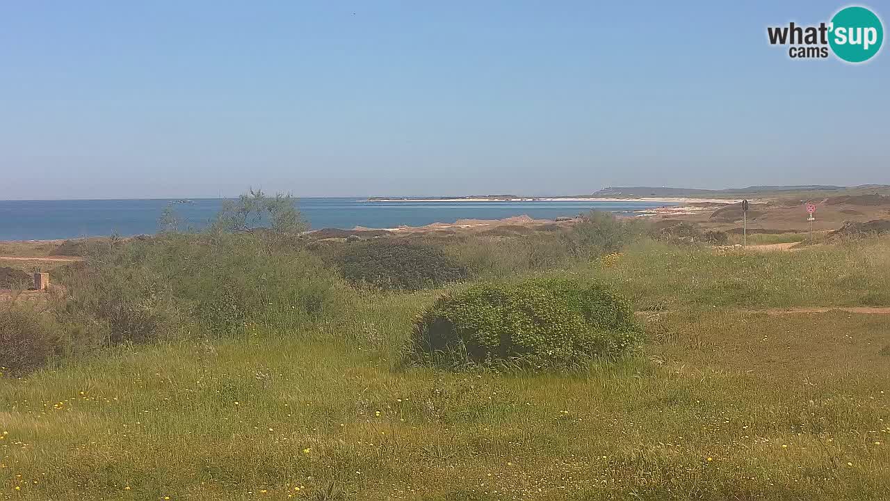 Playa Mari Ermi | Is Arutas – Oristano