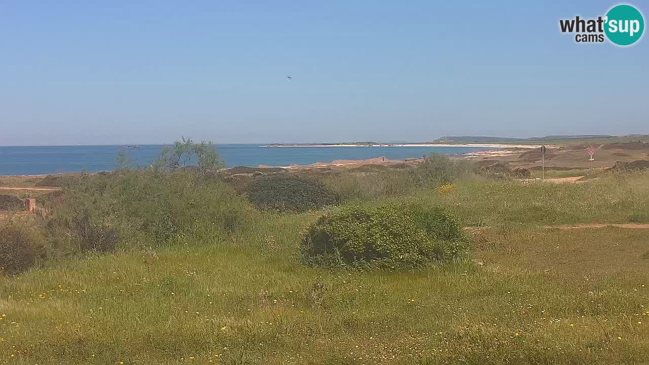 Plage Mari Ermi | Is Arutas – Oristano