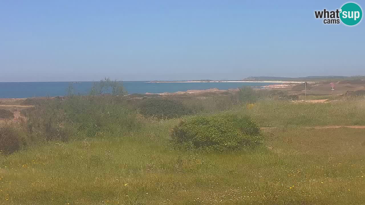 Playa Mari Ermi | Is Arutas – Oristano