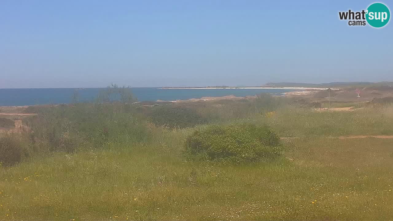 Mari Ermi beach | Is Arutas – Oristano