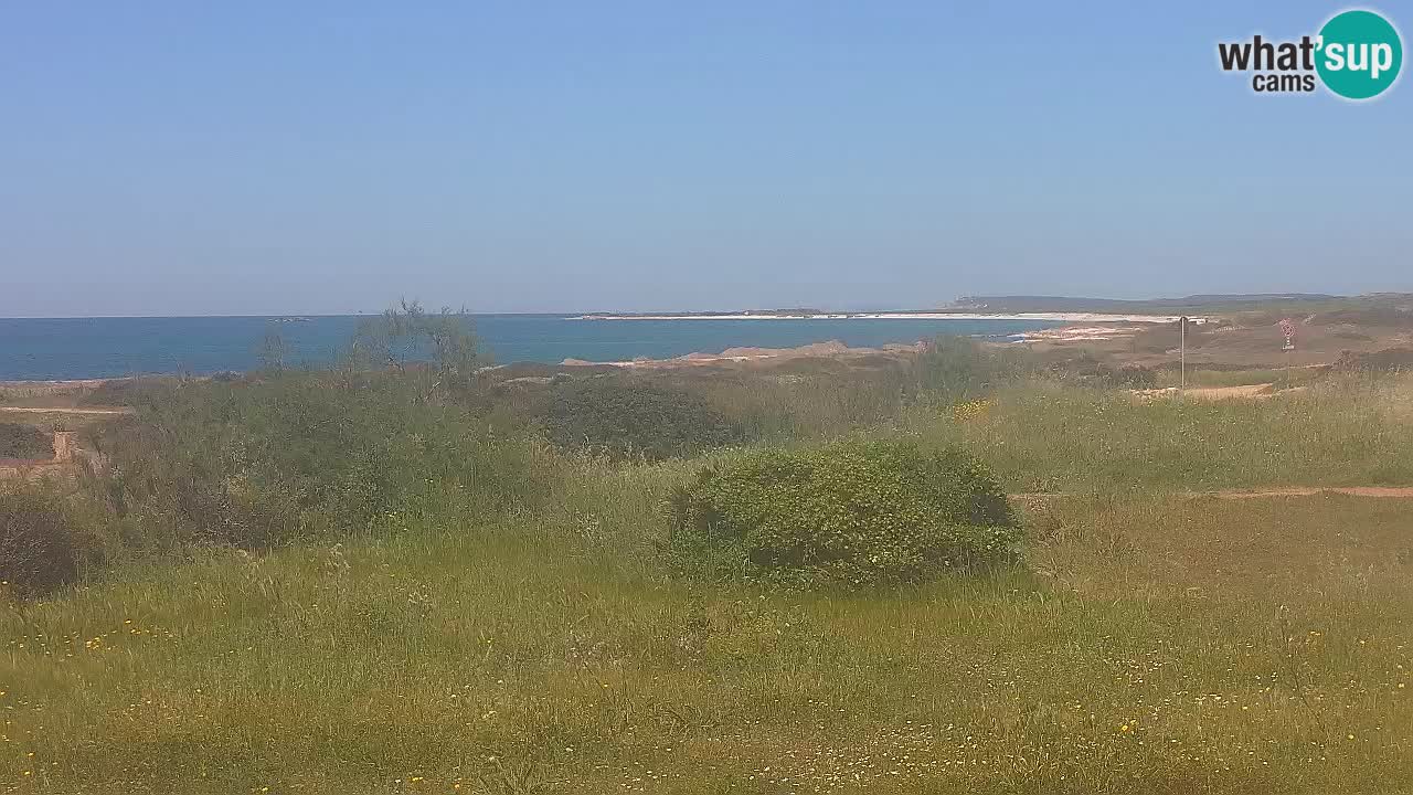 Mari Ermi beach | Is Arutas – Oristano