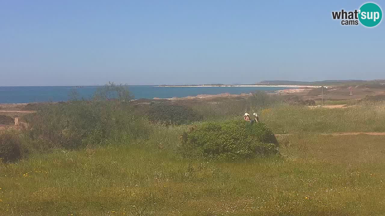 Playa Mari Ermi | Is Arutas – Oristano