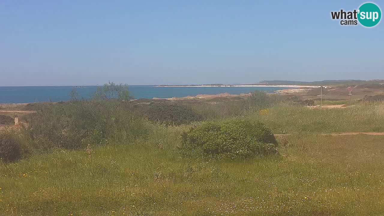 Mari Ermi Strand | Is Arutas – Oristano