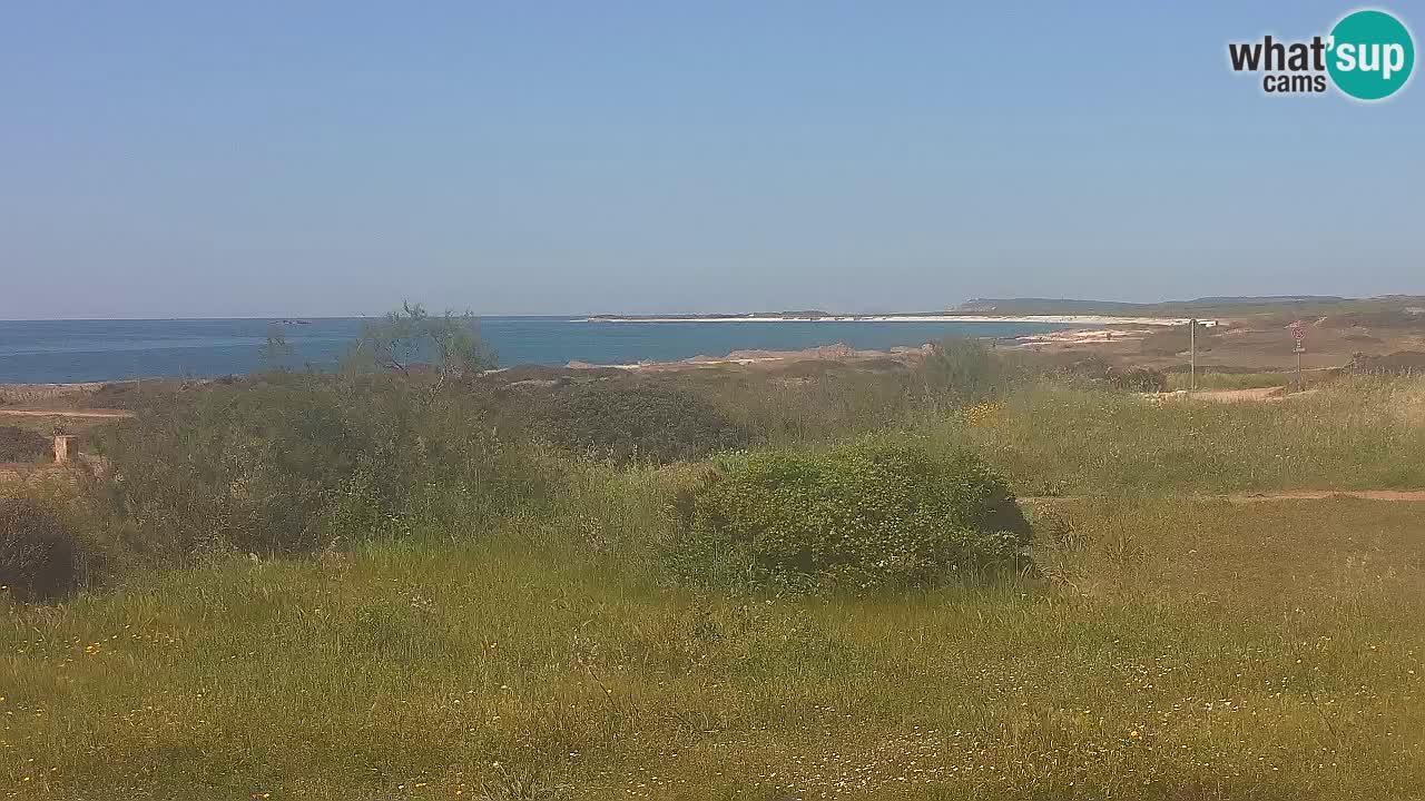 Mari Ermi beach | Is Arutas – Oristano