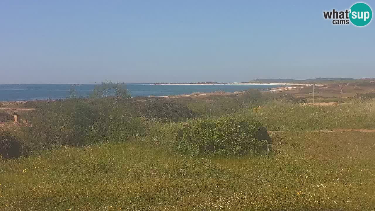 Mari Ermi beach | Is Arutas – Oristano