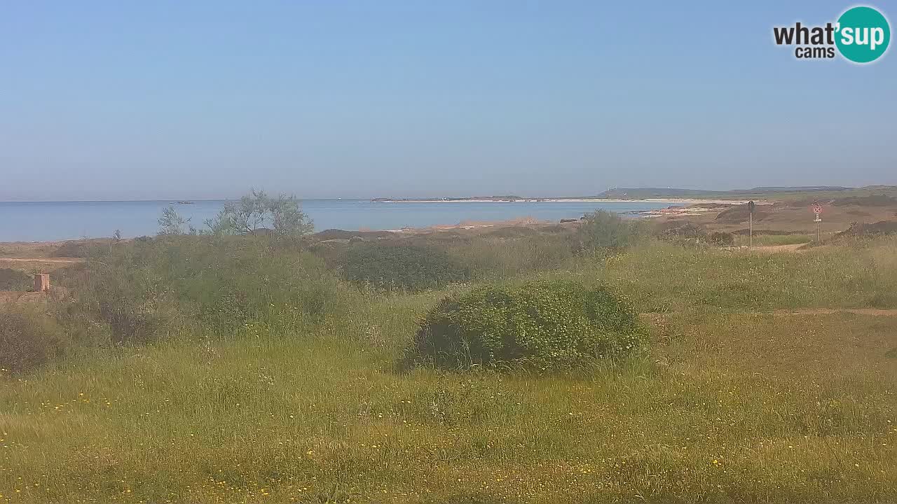 Spiaggia Mari Ermi | Is Arutas – Oristano