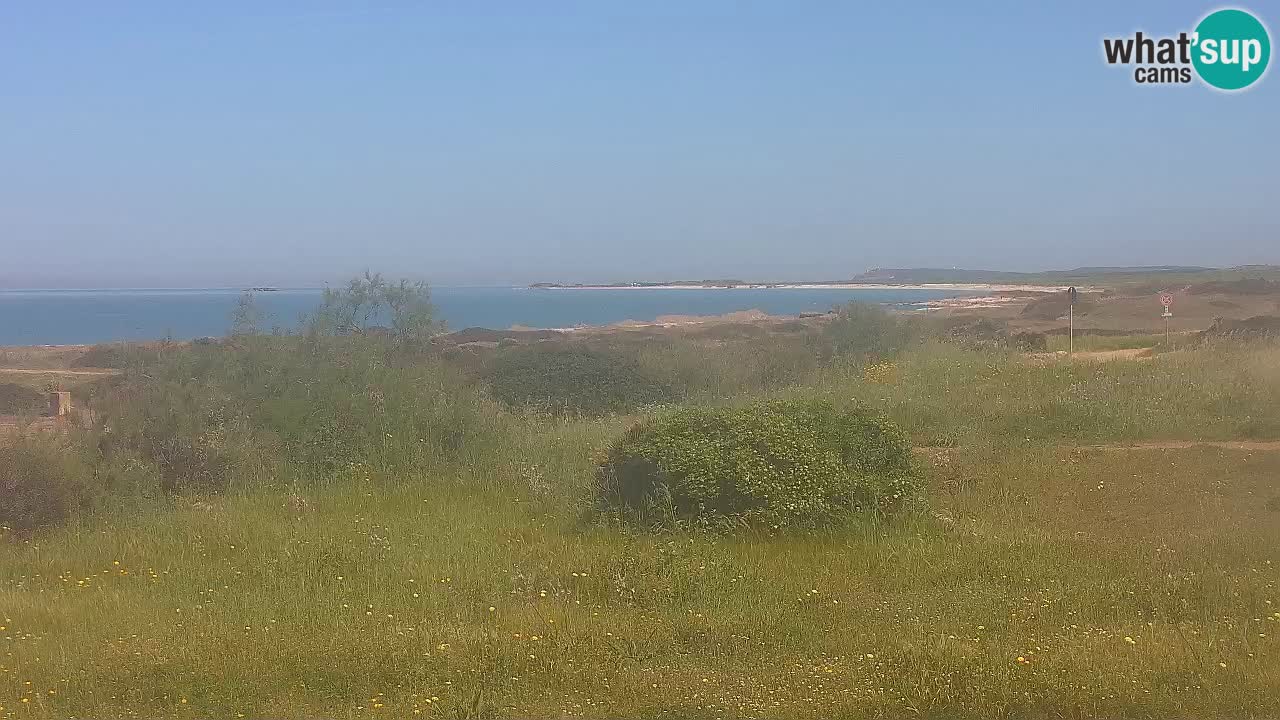 Mari Ermi beach | Is Arutas – Oristano