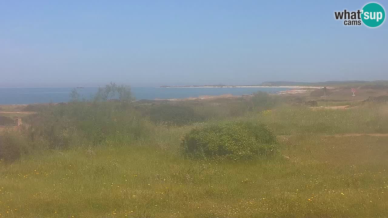 Spiaggia Mari Ermi | Is Arutas – Oristano