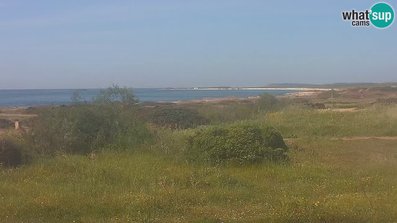 Mari Ermi beach | Is Arutas – Oristano