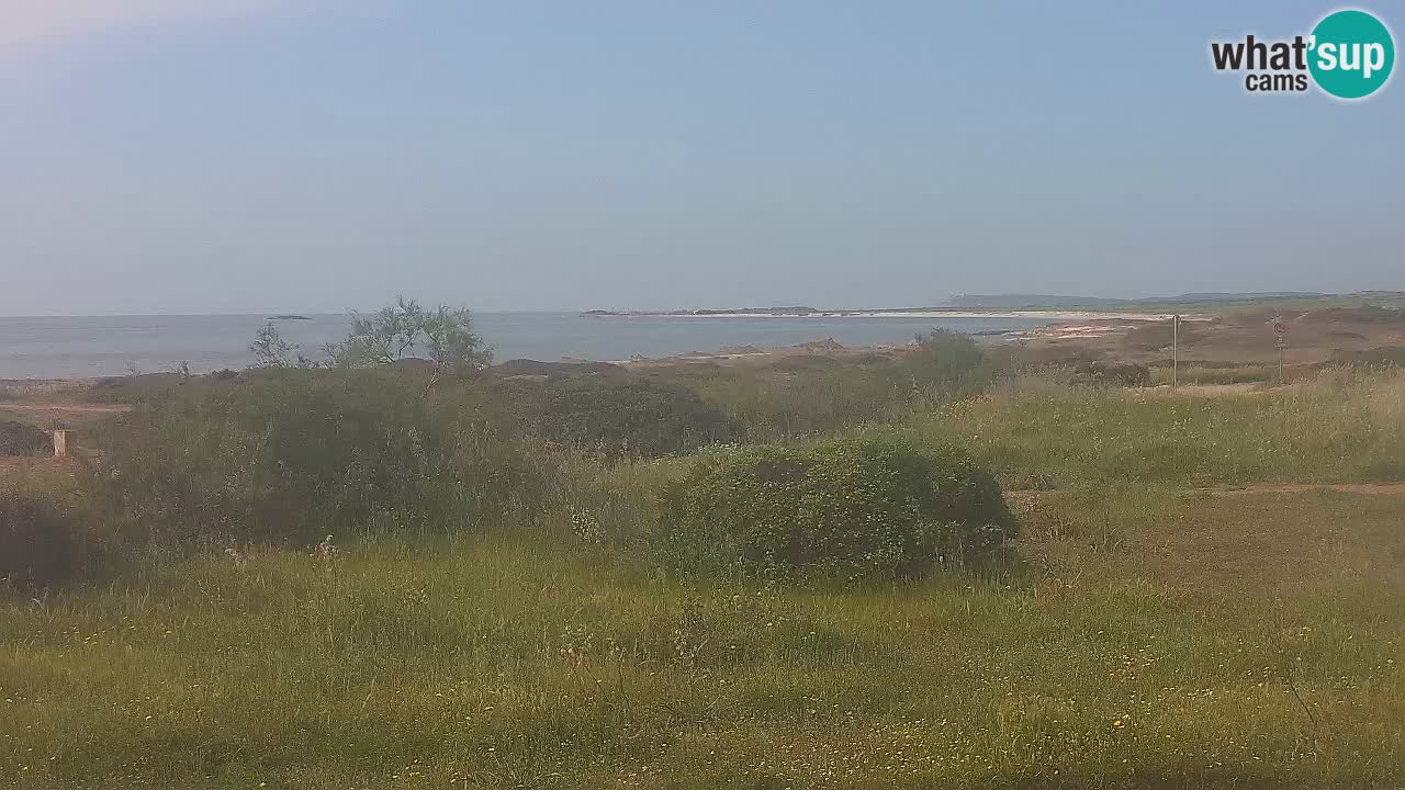 Mari Ermi Strand | Is Arutas – Oristano