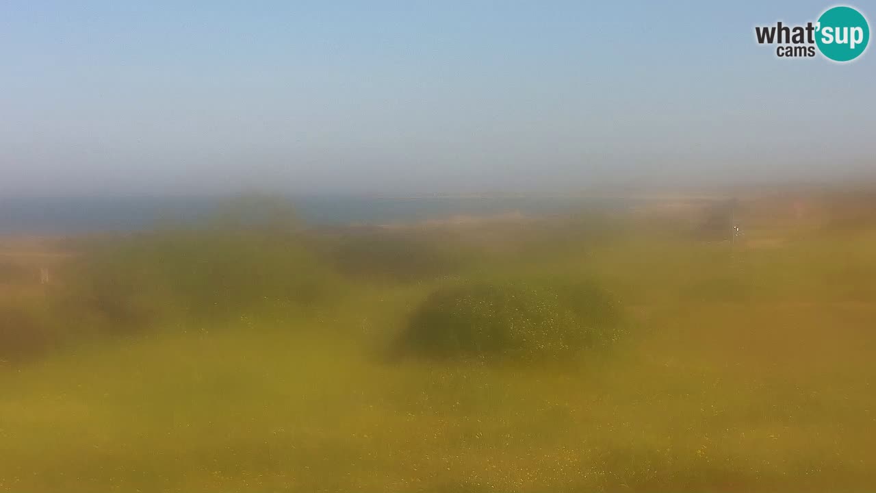 Playa Mari Ermi | Is Arutas – Oristano