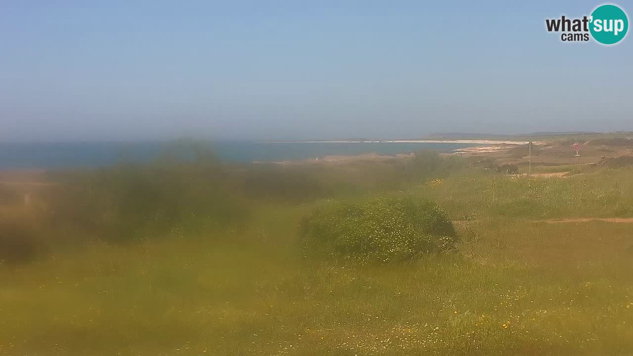 Plaža Mari Ermi | Is Arutas – Oristano