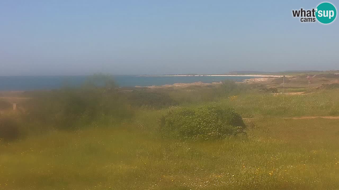 Spiaggia Mari Ermi | Is Arutas – Oristano
