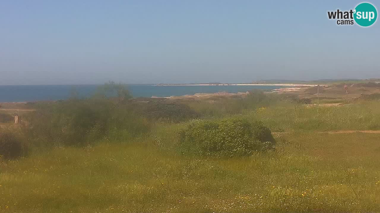 Mari Ermi Strand | Is Arutas – Oristano