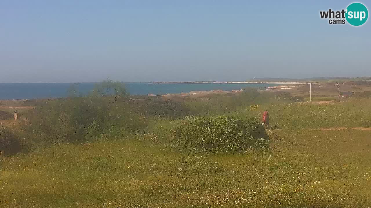 Spiaggia Mari Ermi | Is Arutas – Oristano