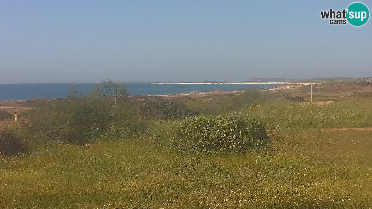 Spiaggia Mari Ermi | Is Arutas – Oristano