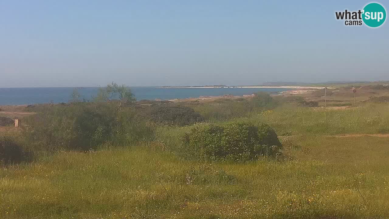 Plaža Mari Ermi | Is Arutas – Oristano