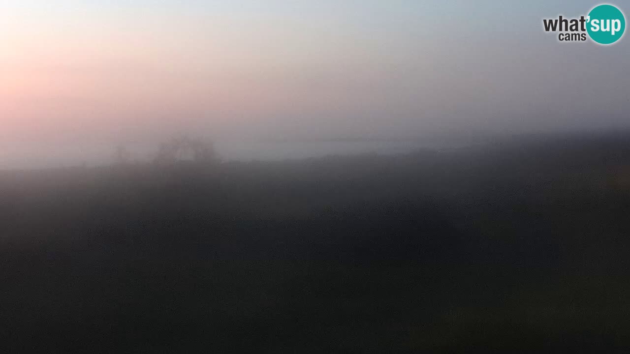 Mari Ermi Strand | Is Arutas – Oristano