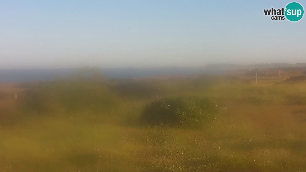 Mari Ermi Strand | Is Arutas – Oristano