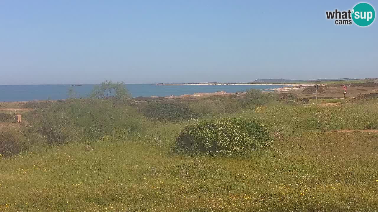 Plage Mari Ermi | Is Arutas – Oristano