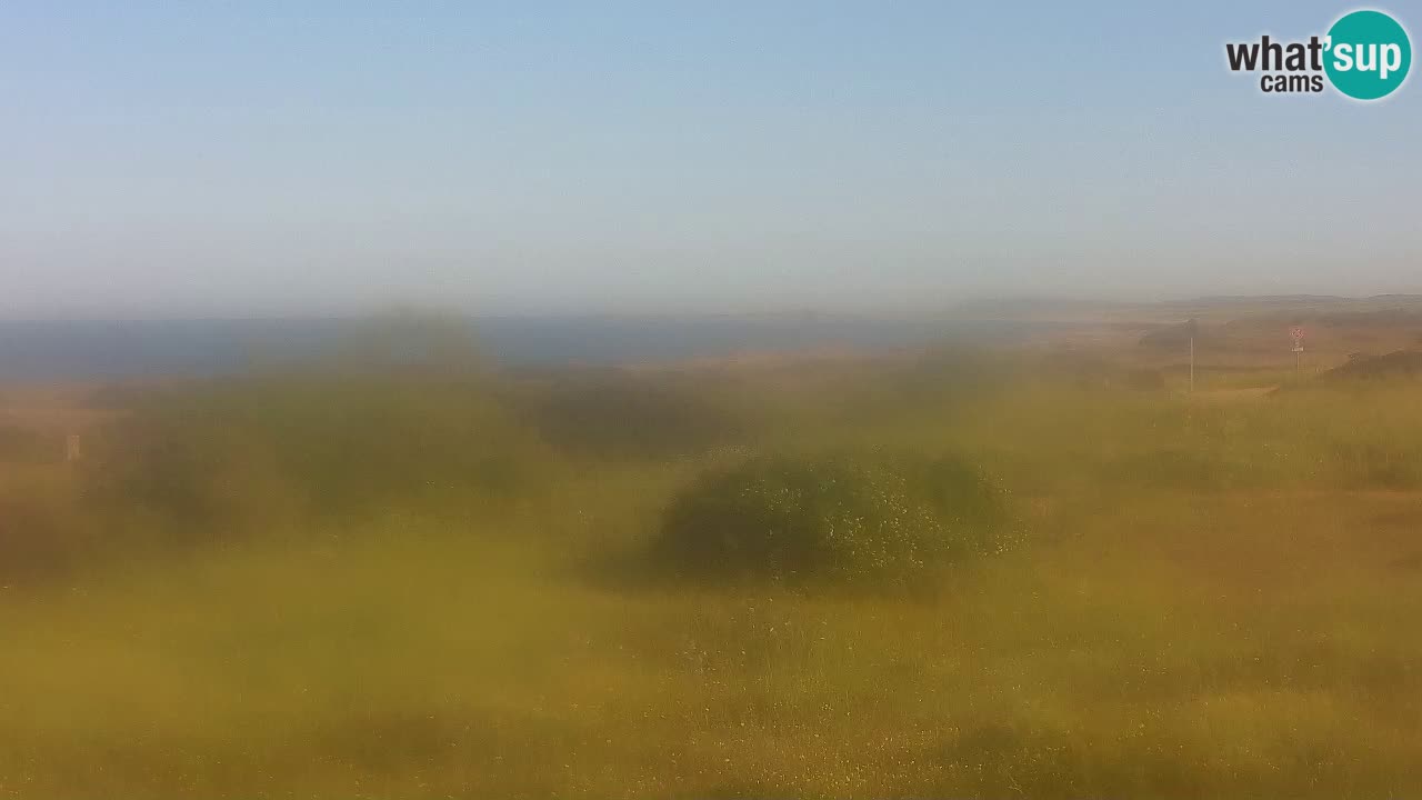 Playa Mari Ermi | Is Arutas – Oristano