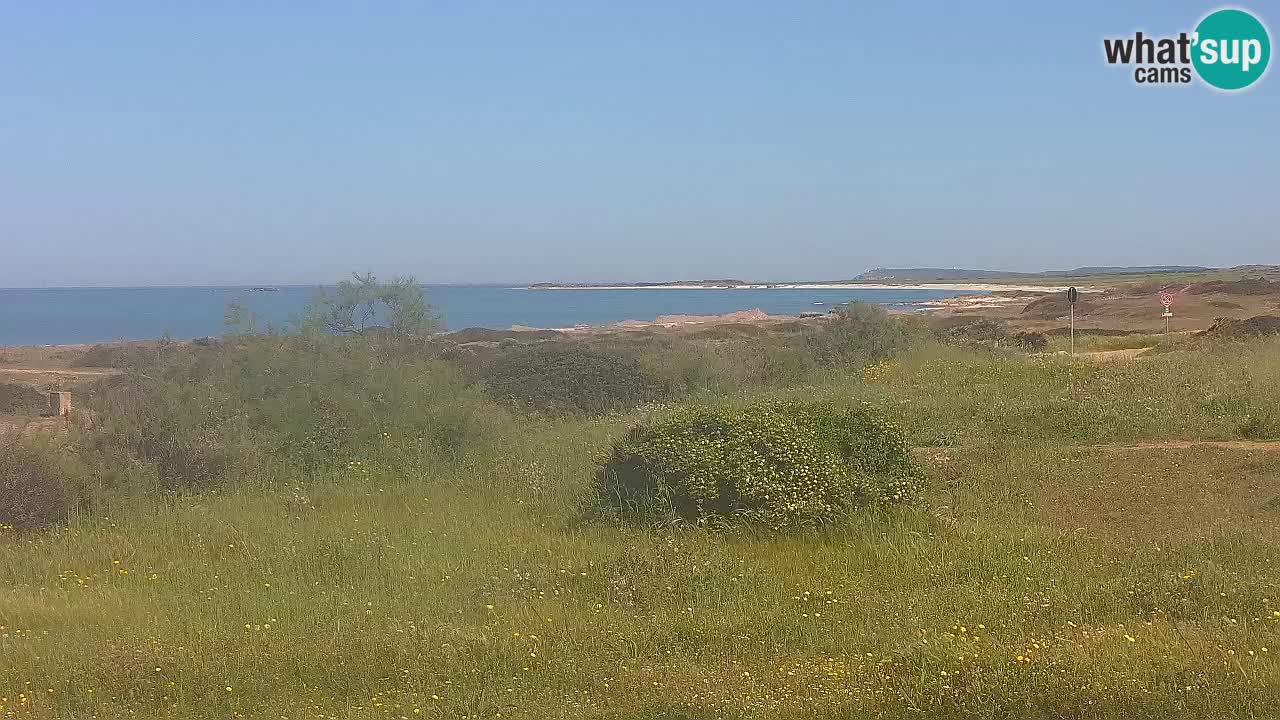 Mari Ermi beach | Is Arutas – Oristano