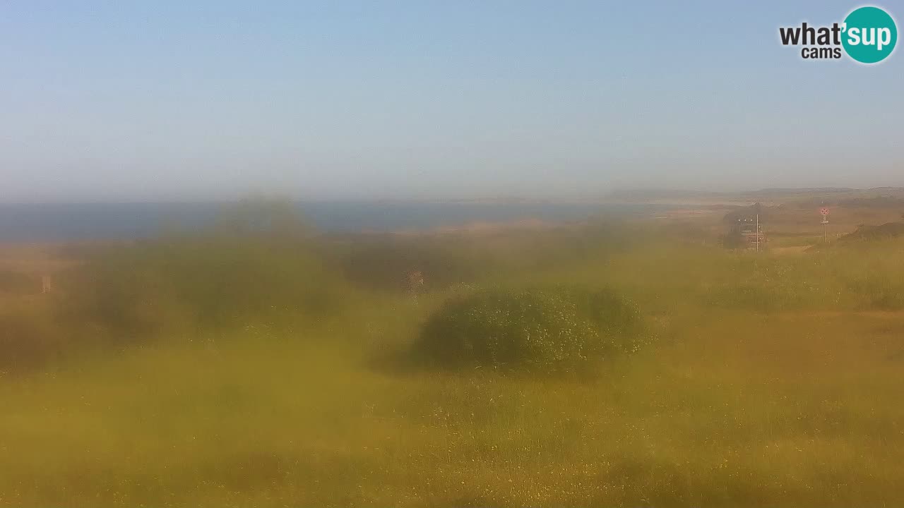 Mari Ermi Strand | Is Arutas – Oristano