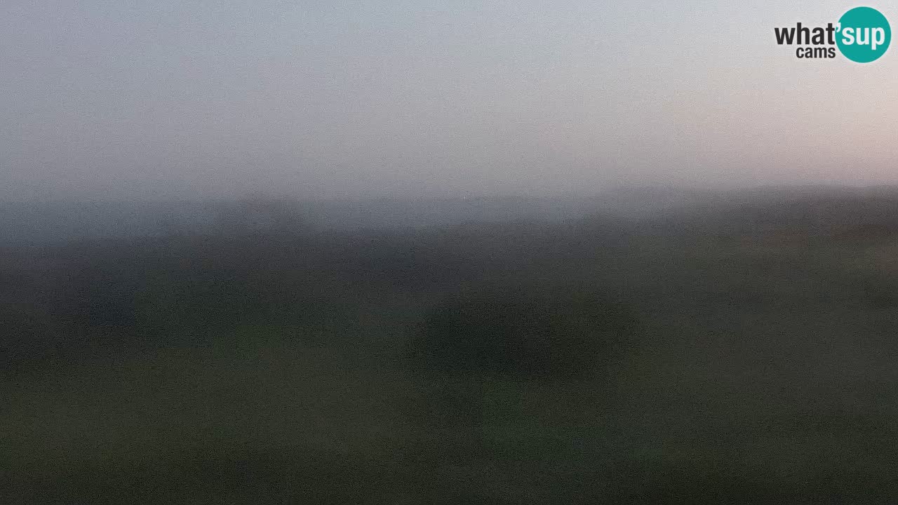 Playa Mari Ermi | Is Arutas – Oristano