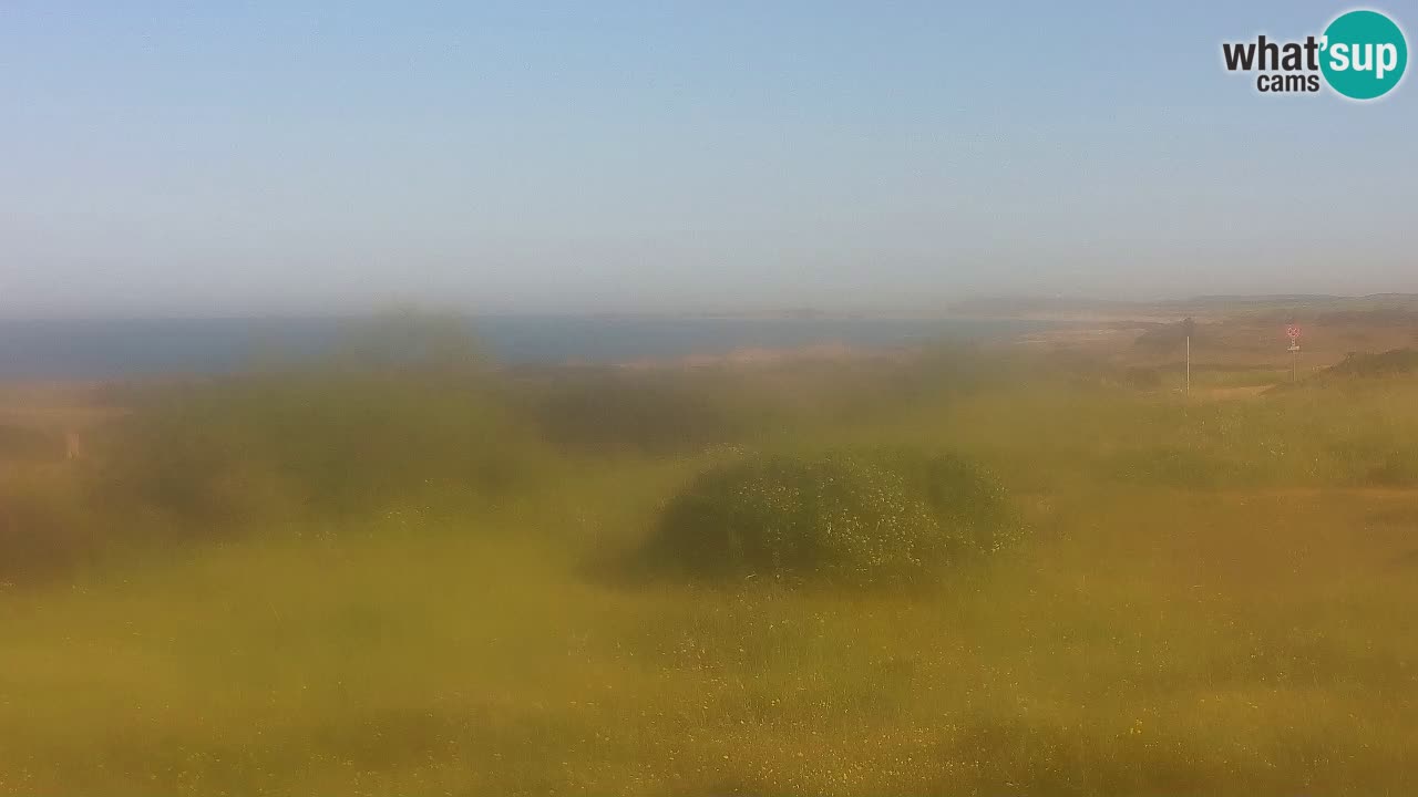 Mari Ermi Strand | Is Arutas – Oristano