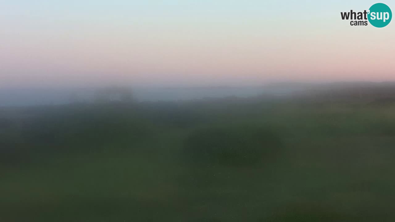 Mari Ermi Strand | Is Arutas – Oristano