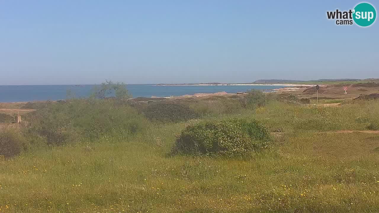 Mari Ermi beach | Is Arutas – Oristano