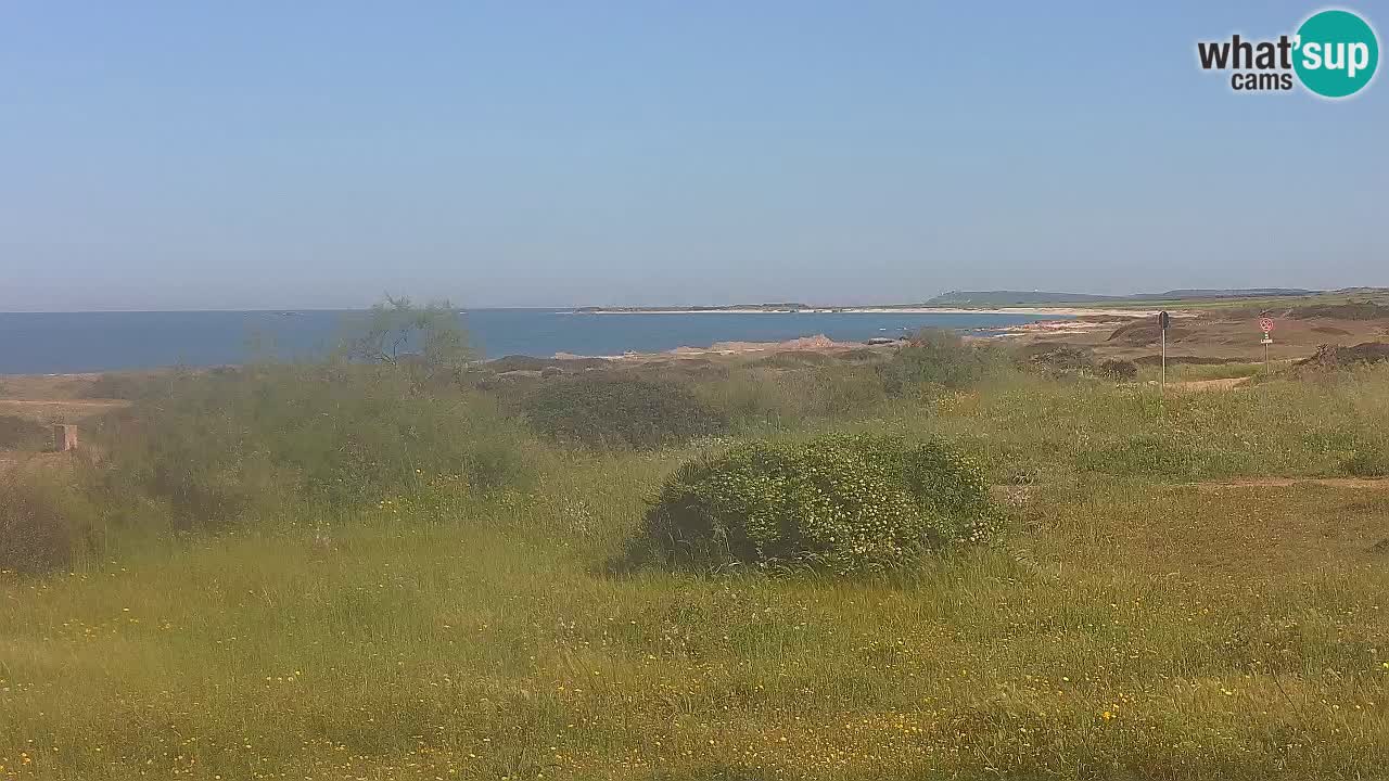 Plage Mari Ermi | Is Arutas – Oristano