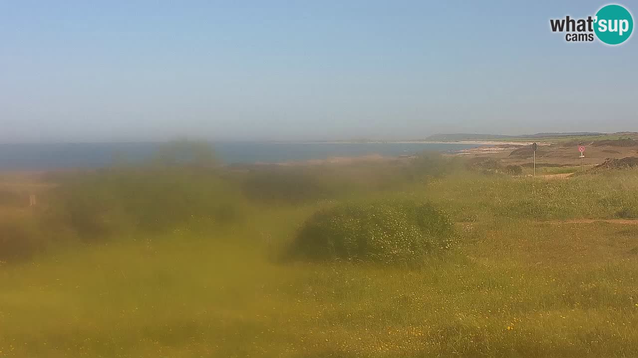 Mari Ermi Strand | Is Arutas – Oristano