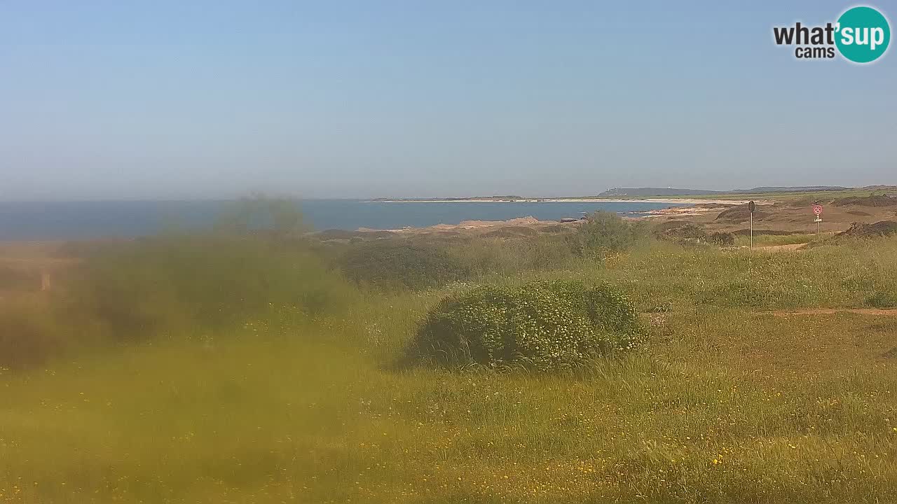 Spiaggia Mari Ermi | Is Arutas – Oristano