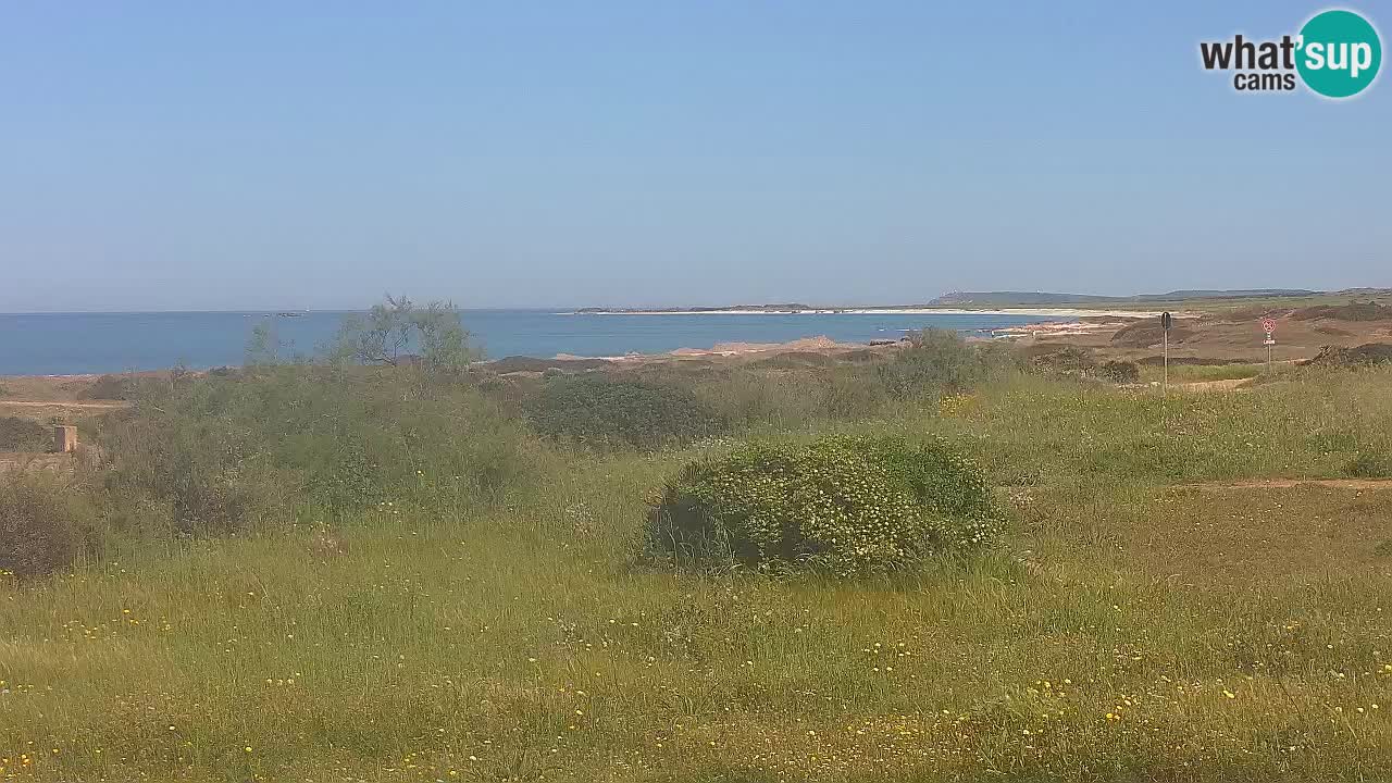 Mari Ermi beach | Is Arutas – Oristano