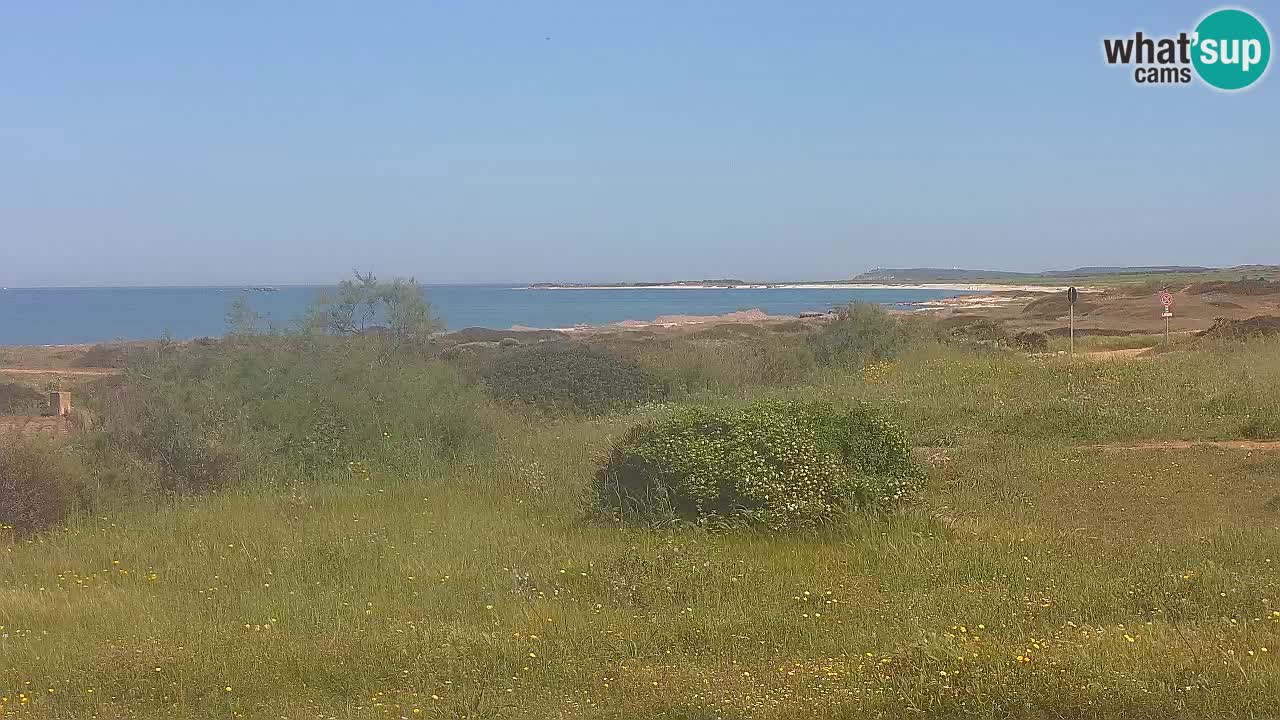 Mari Ermi Strand | Is Arutas – Oristano