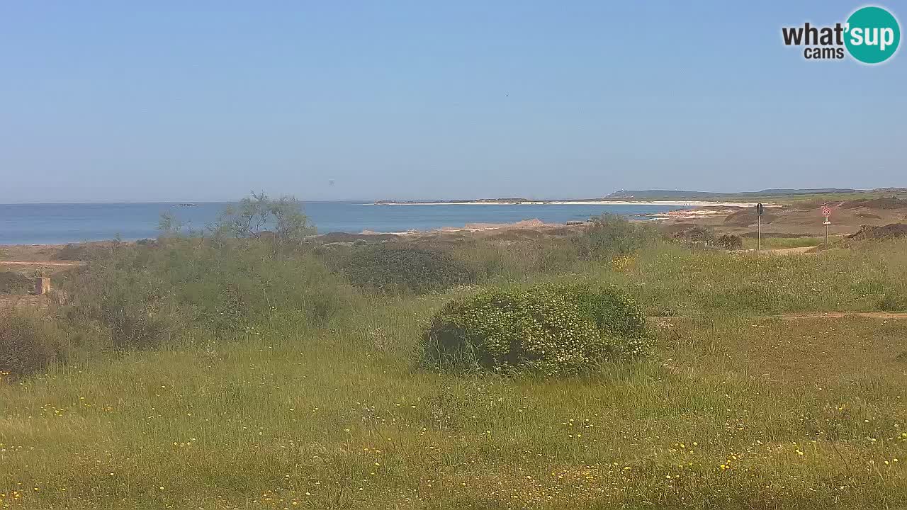 Spiaggia Mari Ermi | Is Arutas – Oristano