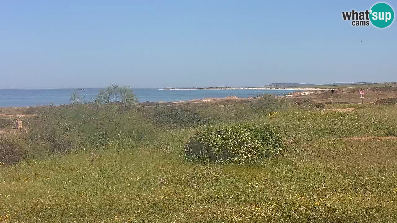 Plage Mari Ermi | Is Arutas – Oristano