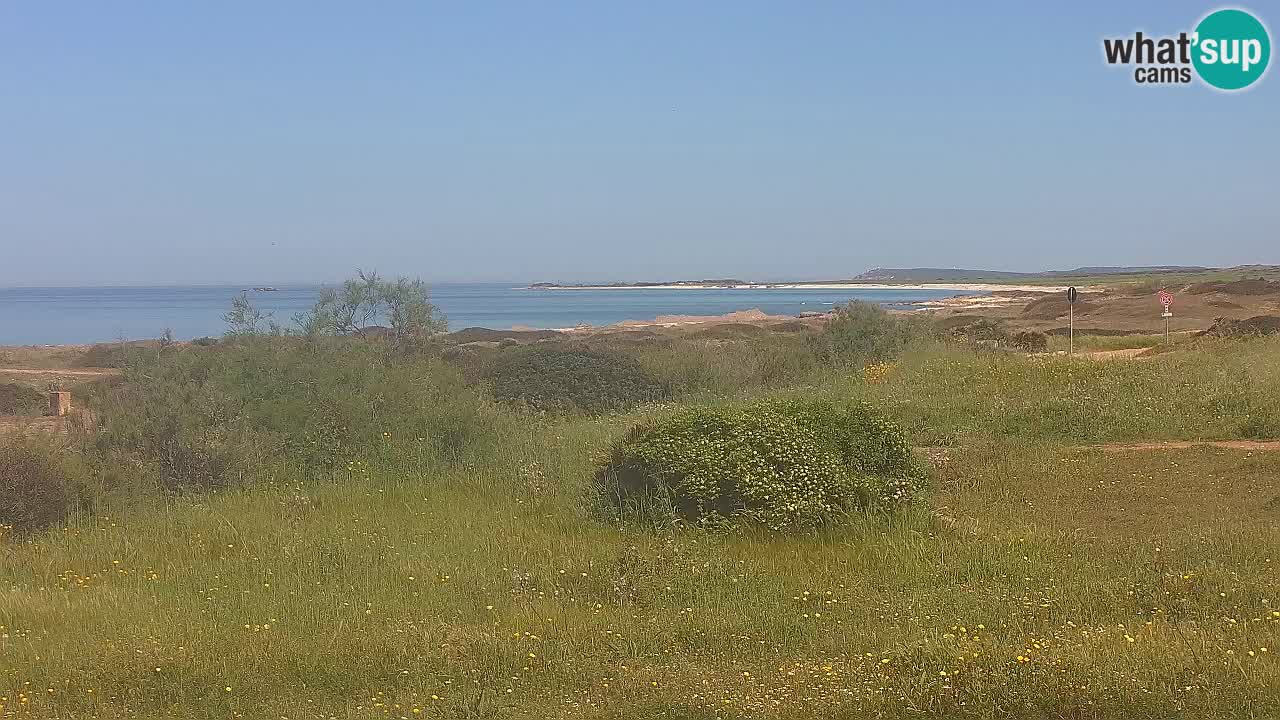 Spiaggia Mari Ermi | Is Arutas – Oristano