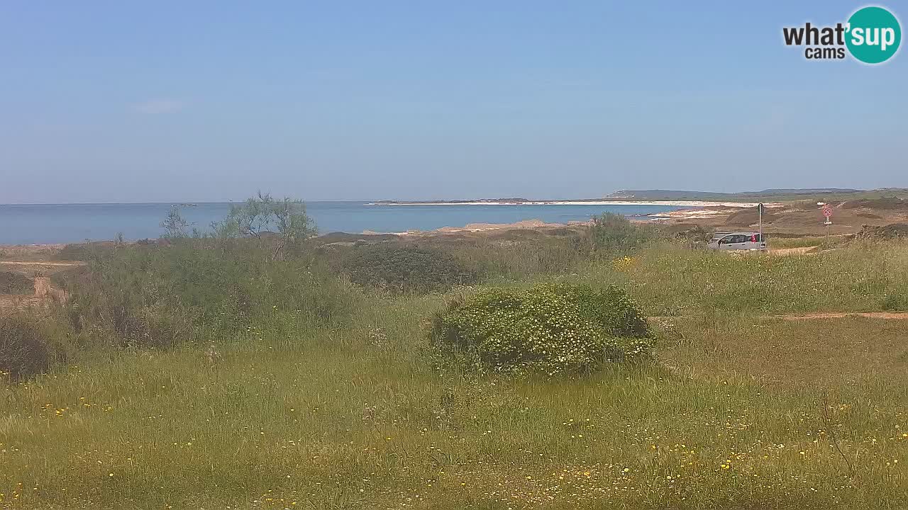 Plaža Mari Ermi | Is Arutas – Oristano