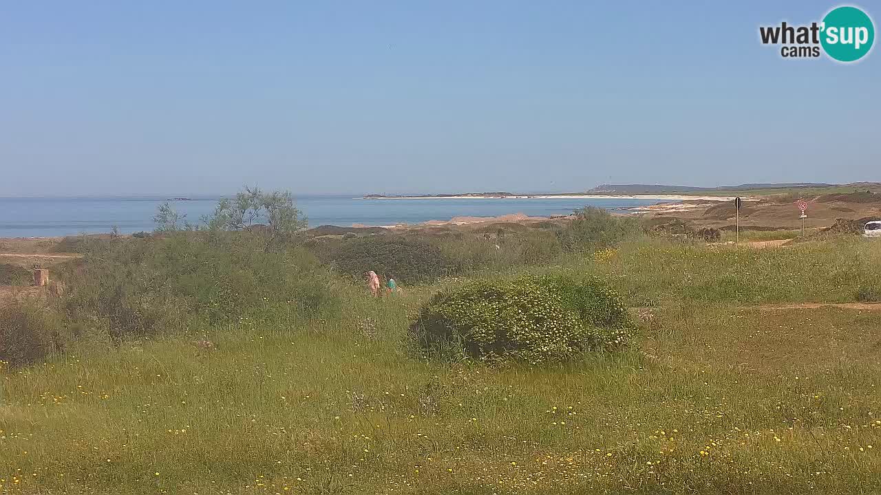 Playa Mari Ermi | Is Arutas – Oristano