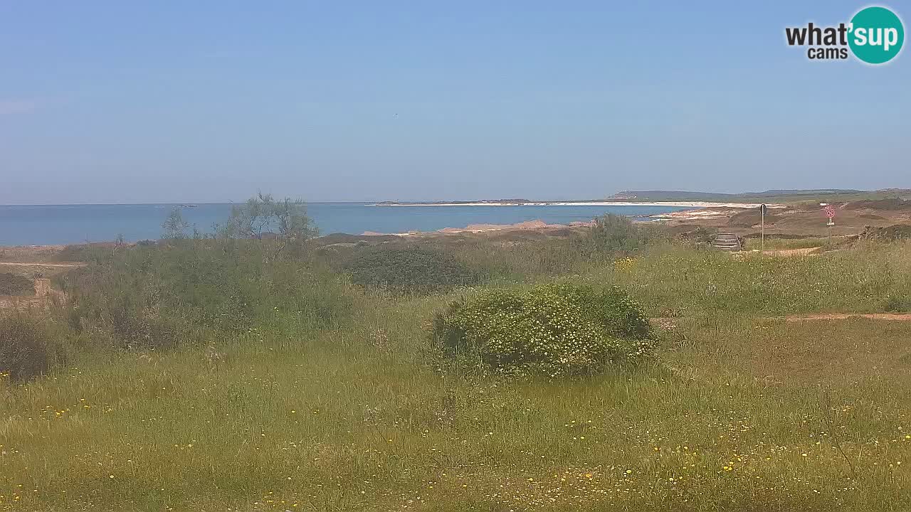 Plage Mari Ermi | Is Arutas – Oristano