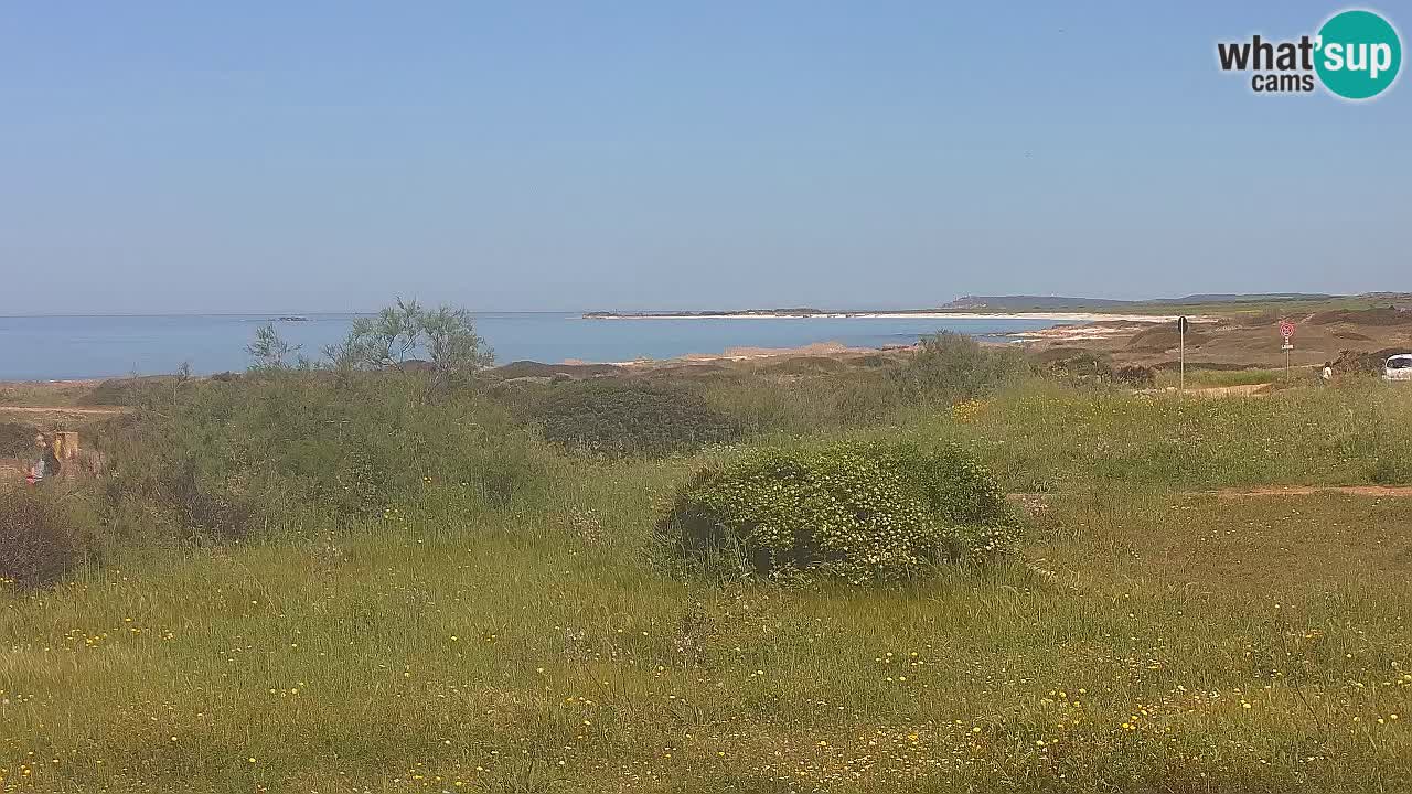 Mari Ermi Strand | Is Arutas – Oristano