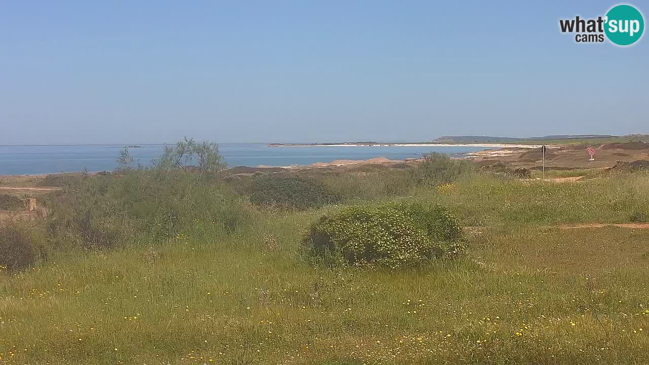 Plage Mari Ermi | Is Arutas – Oristano