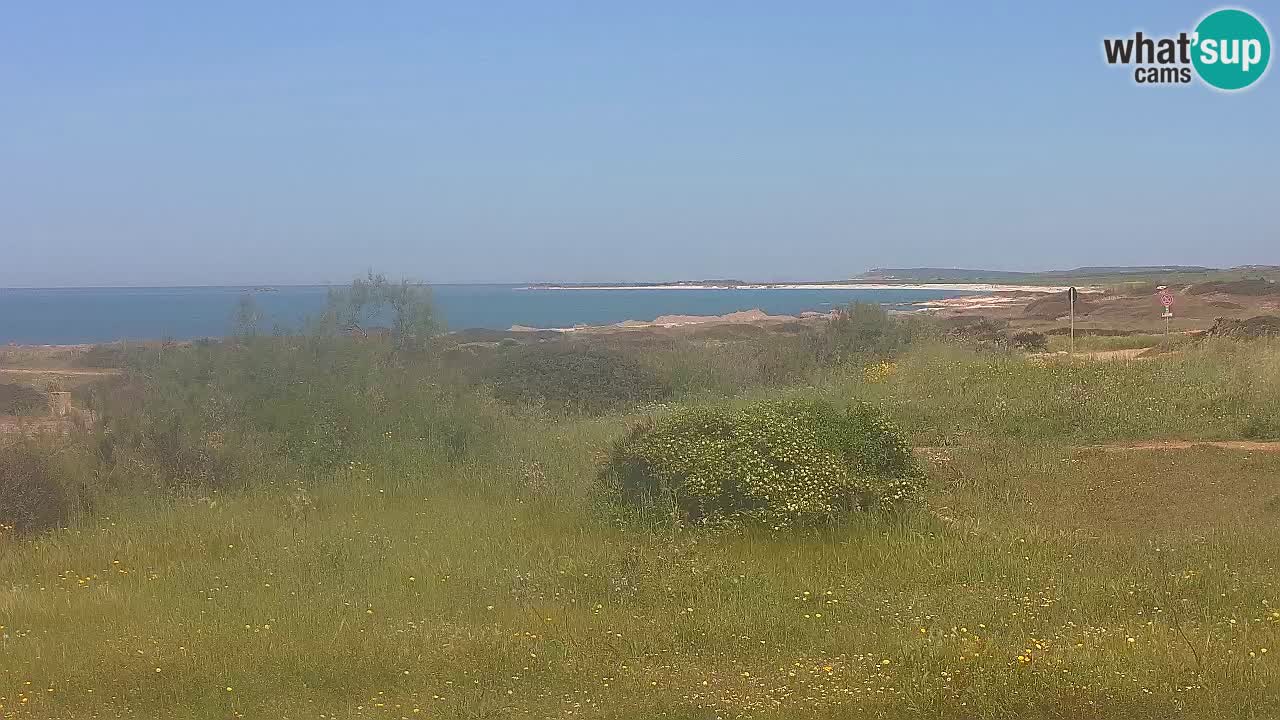 Playa Mari Ermi | Is Arutas – Oristano